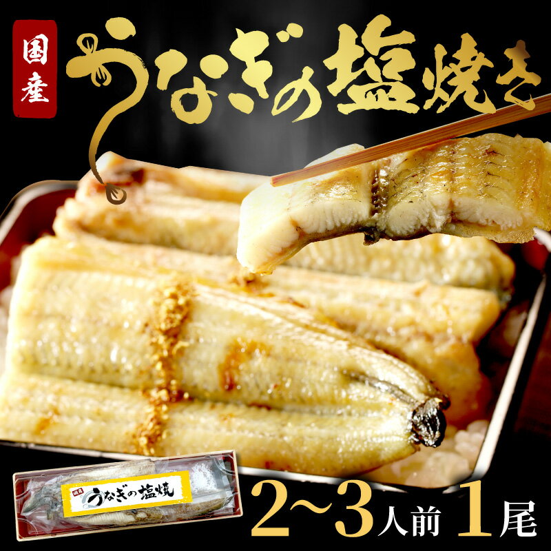 【ふるさと納税】【土用の丑の日までに届く！】"新月の塩"使用 うなぎの塩焼き2～3人前(1尾) ふるさと納税 鰻 国産 ウナギ 塩焼き うな丼 うな重 惣菜 京都 ギフト 贈り物 お祝い