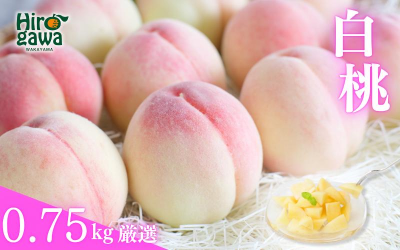 
                  厳選 白桃 0.75kg / 桃 もも 甘い 高級 和歌山 ※7月上旬～8月中旬に順次発送 ※北海道・沖縄・離島への配送不可【ikd501-p-0d75A】
                