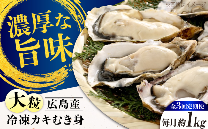 【全3回定期便】冷凍牡蠣のむき身 約1kg 江田島市/有限会社マルイチ水産 [XCU014] 牡蠣 かき カキ かき 海鮮 和食 海産物 広島県産