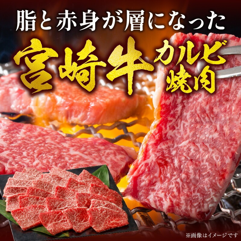 宮崎牛 カルビ焼肉500g N0140-YA5518