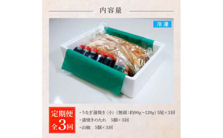 田野町産うなぎの蒲焼き(小) 5尾×3回 定期便 3ヶ月 定期コース 1尾あたり90～120g タレ付き 山椒付き うなぎ 鰻 ウナギ 蒲焼き かば焼き 無頭 おいしい 国産 お取り寄せ 冷凍 配送