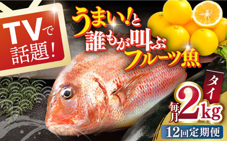 【全12回定期便】タイ 平戸なつ香 丸々1匹 （約2kg） 【坂野水産】[KAA478] 鯛 タイ 鯛 タイ 鯛 タイ 鯛 タイ 鯛 タイ 鯛 タイ