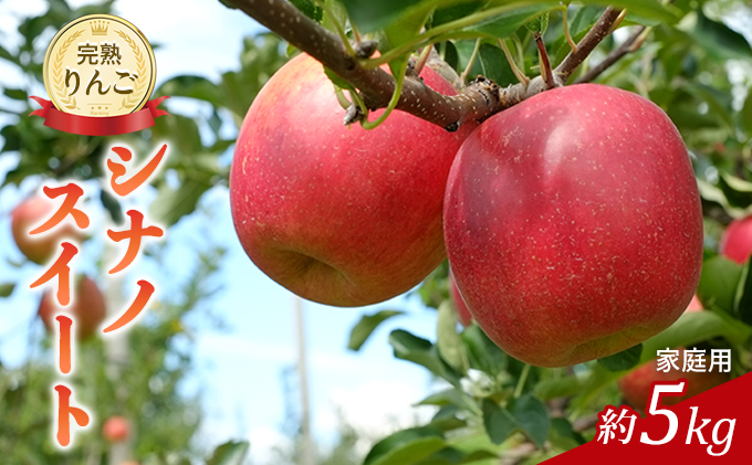 先行予約 りんご シナノスイート 約5kg 2026年 令和8年発送 家庭用 完熟りんご 外観は不揃いだけど美味しいよ 林檎 リンゴ 傷 キズ 果物 くだもの フルーツ 旬の果物 旬のフルーツ 信州 長野 長野県