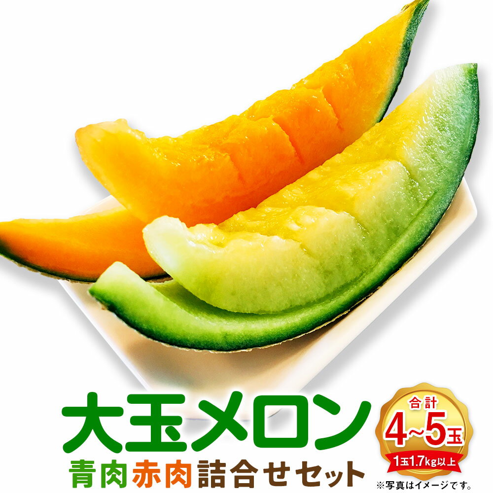 【ふるさと納税】（先行予約）大玉メロン 青肉 赤肉 4～5玉 詰合せ セット 1玉1.7kg以上 くだもの 果物 フルーツ 果実 詰め合わせ 北海道 浦臼町 送料無料 【2025年7月上旬～2025年8月上旬迄発送予定】