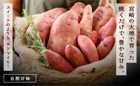 都城産 長期熟成紅はるか 3kg_LE-I201_(都城市)都城産さつまいも 熟成紅はるか 3kg 長期熟成 スイーツ