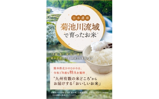 【 定期便 3回 】R8年産 熊本県産 無洗米 森のくまさん 10kg