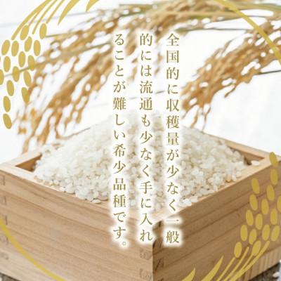 ふるさと納税 大子町 【数量限定】大子産米 5銘柄食べ比べセット 10kg(コシヒカリ/ゆうだい21/縁結び等)精米 |  | 02