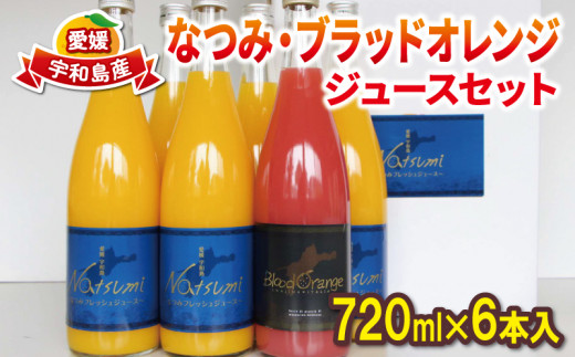 
なつみ ブラッドオレンジ ジュース セット 720ml ×6本 えひめ南農業協同組合直販センター 詰め合わせ 果汁 飲料 柑橘 みかん 蜜柑 みかんジュース ストレートジュース 100%ジュース 果物 フルーツ ストレート 無添加 農家直送 産地直送 数量限定 国産 愛媛 宇和島 H020-009009
