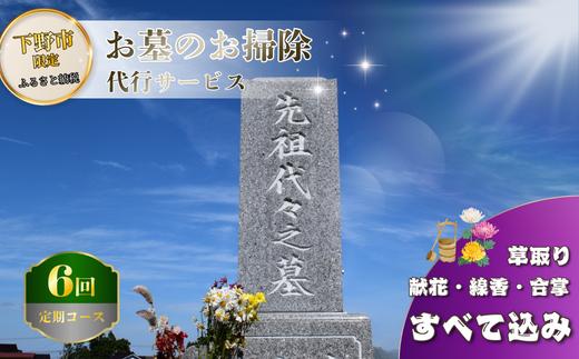 お墓 清掃 代行サービス 6回「ふるさとのお墓 心を込めてお掃除します」 掃除 お掃除 代行  栃木県 しもつけ市 下野市