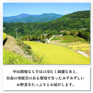 旬の野菜 詰め合わせ 5～8品目 定期便 12回 国産 送料無料 【旬の野菜】