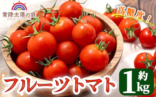 再エネと次世代農法が育んだ高糖度フルーツトマト約1kg フルティカ 濃厚 野菜 甘い 茨城県 フルーツトマト おつまみ 中玉トマト トマト やさい 完熟 お弁当 贈り物 サラダ 産地直送 プレミアムフルーツトマト 【常陸太陽の庭】【ho1371】