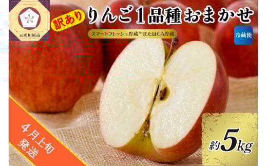 【2026年4月上旬発送】【訳あり】りんご 約5kg 青森産 【おまかせ1品種】【スマートフレッシュ貯蔵またはCA貯蔵・クール便】