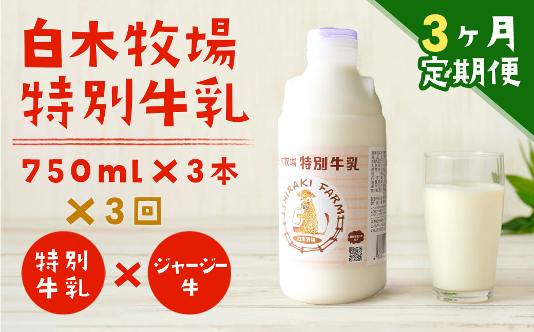 【3ヶ月定期便】 白木牧場 特別牛乳 750ml×3本 低温殺菌 牛乳 ジャージー牛乳 高品質 福岡県 嘉麻市