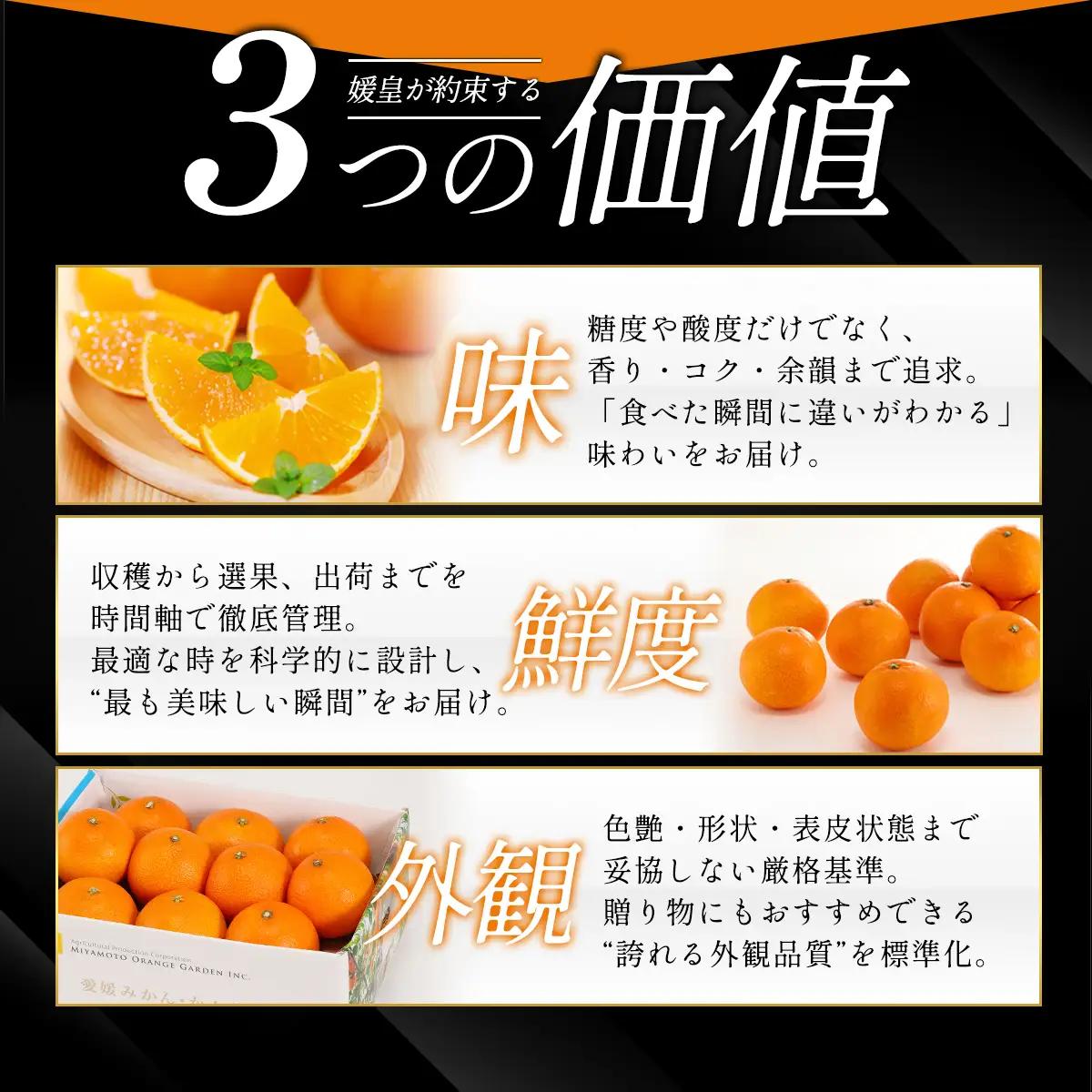 【先行受付】最高級みかん 媛皇 甘平×まどんな 2kg「紅プリンセス」と同品種 愛媛果試48号【E25-340】【1715551】 YWTAP281