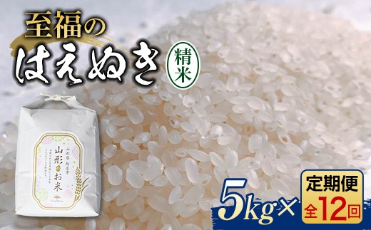 
                  【令和8年産米先行予約】（全12回定期便）至福のはえぬき 5kg 米 お米 おこめ 山形県 新庄市 F3S-2863
                