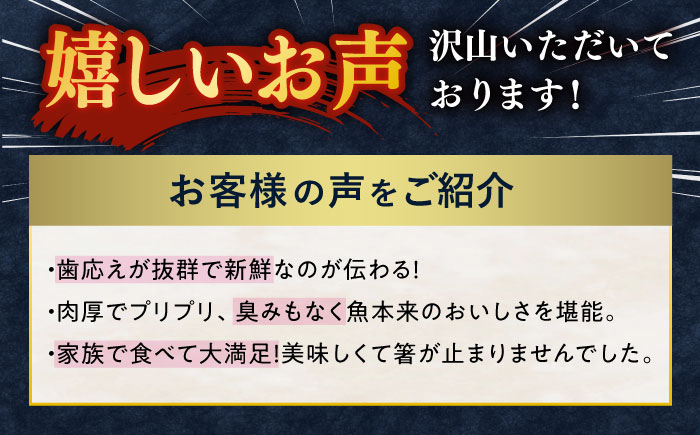 ＜6月発送＞刺身 3人前 約450g 詰め合わせ【百旬館】[KAK020]/ 長崎 平戸 魚介類 魚 刺身 ブロック ヒラス ひらす ブリ ぶり 鯛 タイ たい 急速冷凍 真空 パック