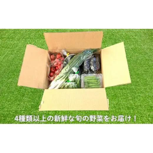 《定期便6ヶ月》旬のおまかせ野菜セット　4種類以上 ／ 野菜 やさい 旬の野菜 セット 詰め合わせ 定期便