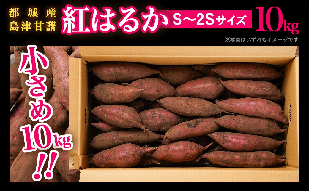 島津甘藷　熟成紅はるか 10kg(S～2S)_12-A701-m