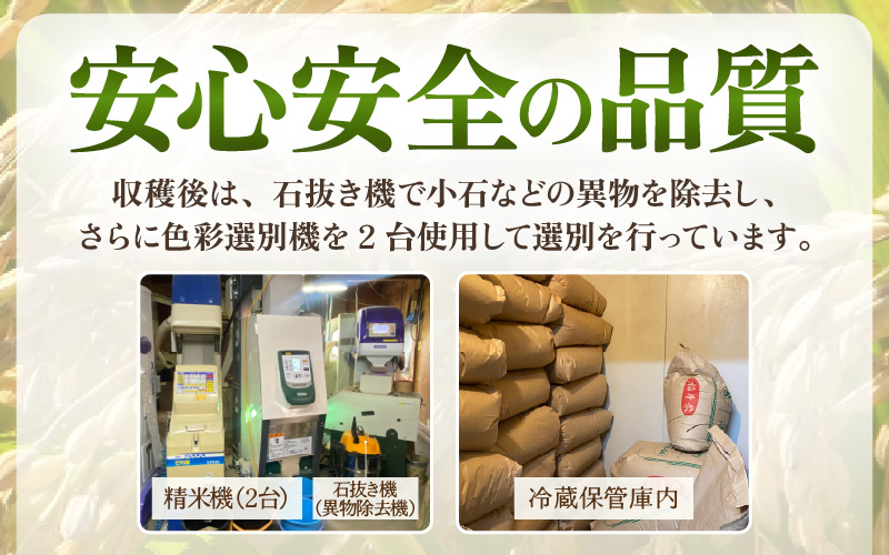 【先行予約】定期便 ≪3ヶ月連続お届け≫  令和8年産 生活応援米5kg × 3回（合計15kg）福井県越前町産【白米】【2026年10月中旬以降順次発送】【お米 コメ kome 5キロ  白米 玄米 家庭用】 [e81-b002_01]