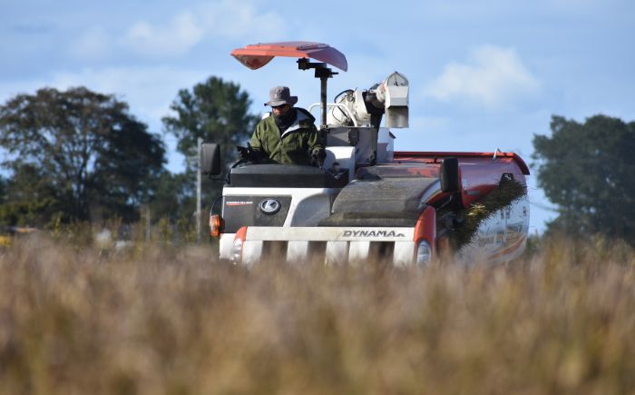 【3回定期便/毎月】 北海道 ななつぼし 精米 10kg （5kg×2袋） | 白米 お米 米 北海道産 コメ | 株式会社松原米穀 [BOCG046]