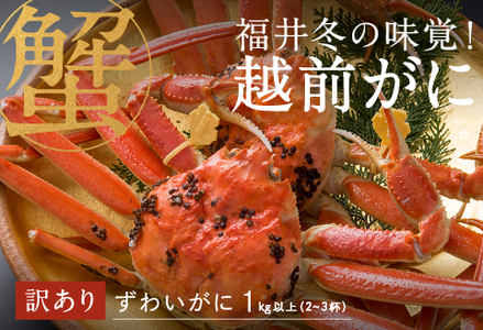 【産地直送】先行予約！　福井の冬の王様！【訳あり】越前がに 合計1kg以上（2〜3杯）2〜3人前　2024年11月15日以降発送