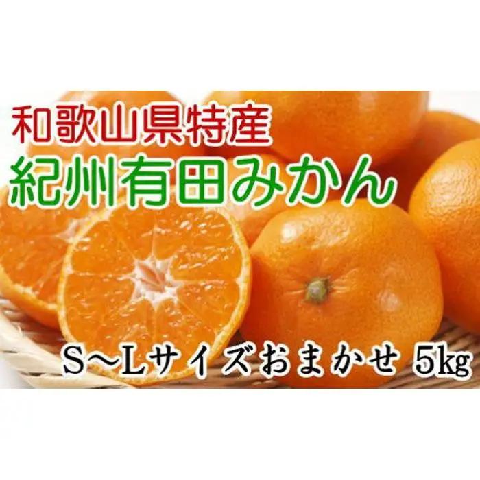 [厳選]和歌山有田みかん約5kg（S～Lサイズおまかせ）★2026年11月中旬頃より順次発送