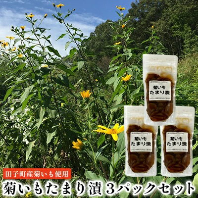 【ふるさと納税】菊いもたまり漬3パックセット【田子町産菊いも使用】　 お漬物 食物繊維 シャキシャキ 食感 ご飯のお供 水溶性食物繊維 イヌリン 腸内環境 糖尿病予防 天然のインスリン お酒のあて 漬物