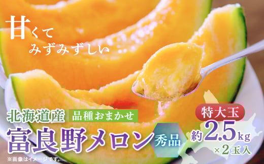 富良野メロン(赤肉) 秀品2玉 計5kg～【1614059】