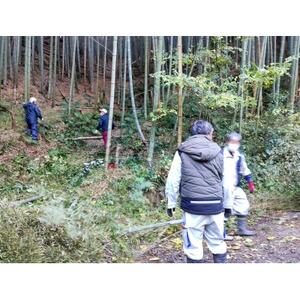 朝日町の里山から届く　朝掘りたけのこ　3kg【配送不可地域：離島】【1694765】