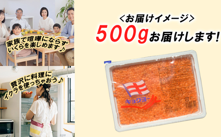 いくら 醤油漬け 500g いくら