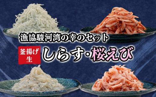 定期便 3回 オリジナルセット 3種  太刀魚 醤油干し しらす 桜えび うなぎ 蒲焼 漁業協同組合