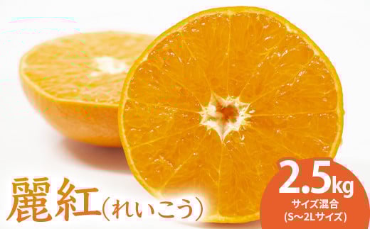 
麗紅(れいこう) ハウス栽培 唐津産 2.5kg
