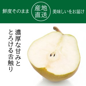 SA2106　酒田の美味しいラ・フランス(洋梨) 秀品　約3kg(6～10玉入)