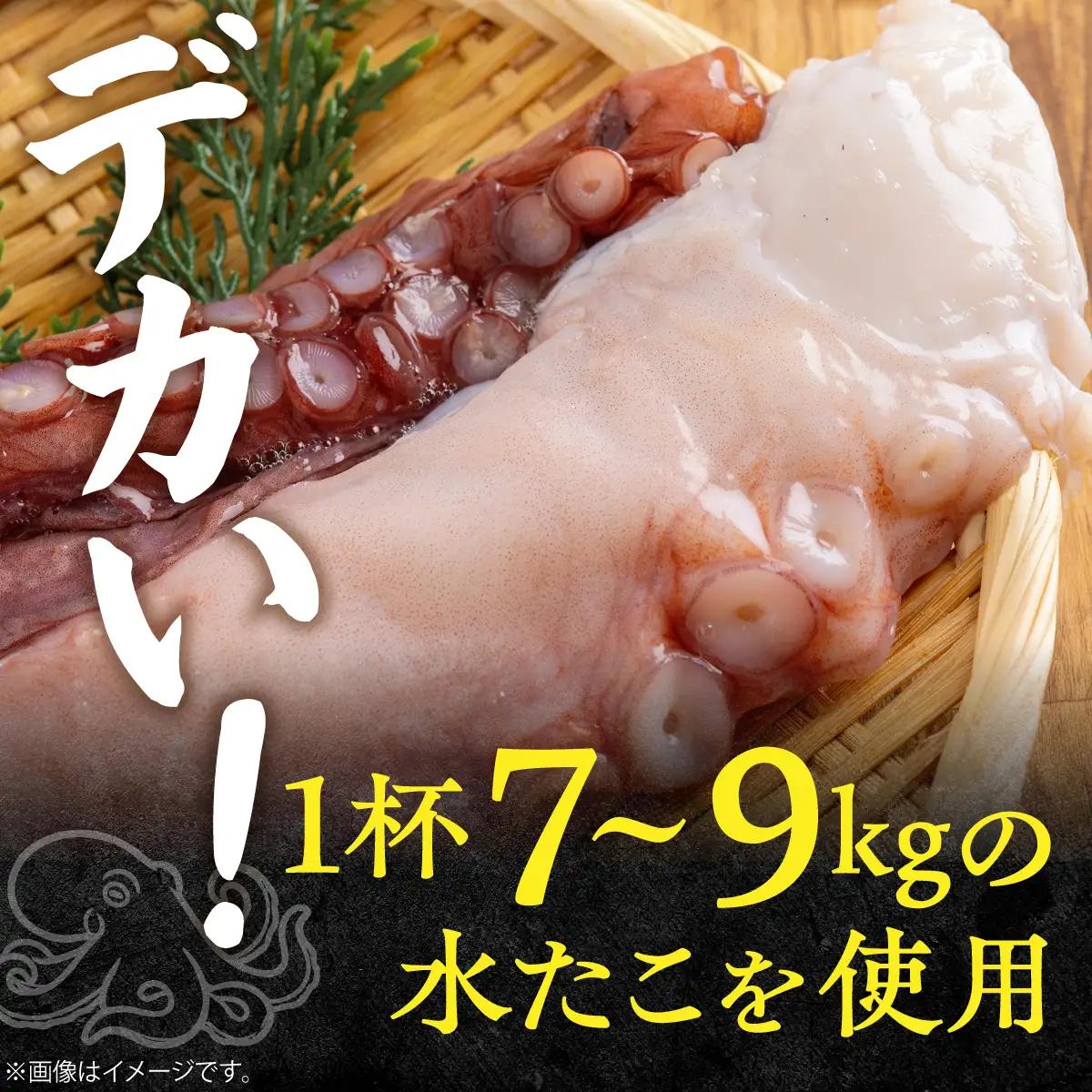 北海道 鵡川漁協発！活水生たこ足冷凍（約1kg） MKWV004
