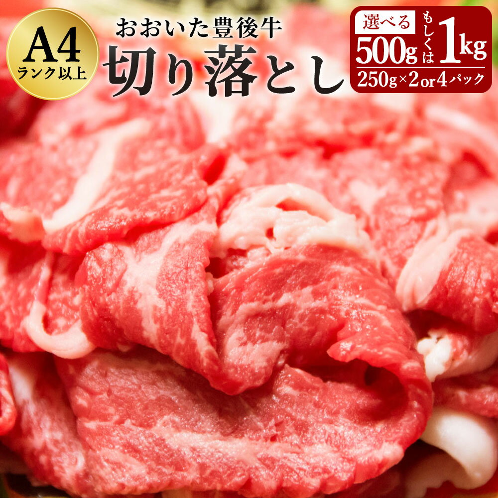 【ふるさと納税】豊後牛 切り落とし 500g 250g×2パック 正統派黒毛和牛 竹田 おおいた豊後牛 黒毛和牛 和牛 牛肉 A4ランク以上 切落し 小間切れ 小分け 冷凍 すき焼き 肉じゃが しゃぶしゃぶ 九州産 国産 送料無料