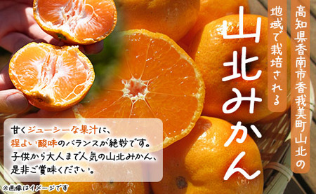 高橋農園【訳あり】山北みかん 露地(Ｓ～Ｍ)Ｂ品 10kg - 果物 フルーツ ミカン 蜜柑 柑橘 家庭用 自宅用 新鮮 農家直送 露地 th-0010