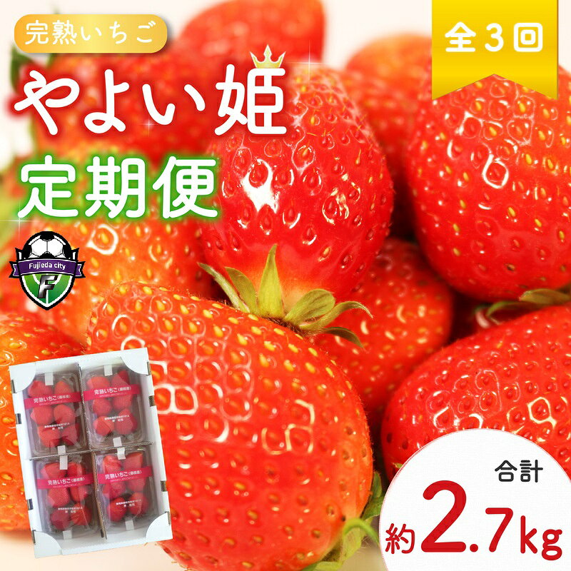 【ふるさと納税】 【 先行予約 】 2027年2月～発送予定 【全3回定期便】 やよい姫 約920g 230g×4パック ※2月、3月、4月発送 いちご 完熟 苺 産地 直送 フレッシュ イチゴ 贈答 フルーツ 果物 国産 静岡県 藤枝市