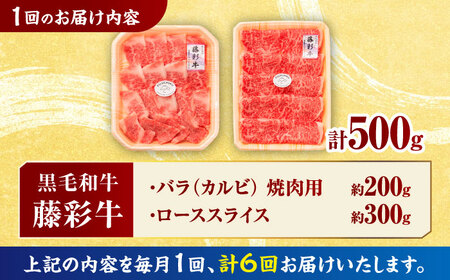 【6回定期便】くまもと黒毛和牛「藤彩牛」2種の食べ比べ計500g 3900【有限会社 スイートサプライなかぞの】[ZDT128]