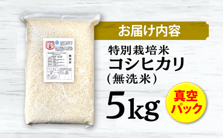 特別栽培米コシヒカリ 真空パック白米（無洗米）5kg お米 こしひかり ご飯 コシヒカリ おこめ 三次市/小川モータース[APCH001]