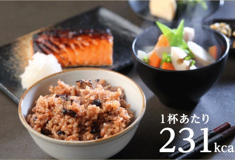 【2ヶ月定期便】さっちゃんの酵素玄米ごはん「レトルトタイプ」125g×28パック×2回 コシヒカリ ３日間熟成 健康 美容 完全無添加 1F05060　