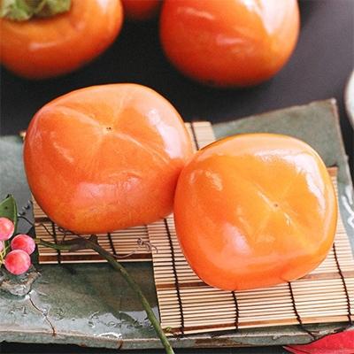 ふるさと納税 紀の川市 【名産】紀の川柿約2kg(種なし・黒あま柿)秀品【紀の川市】 |  | 01