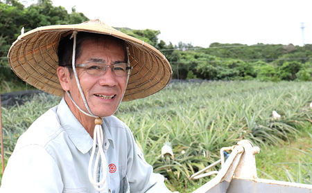 【2024年発送】比屋定農園「久米定パイン」ゴールドバレル 1玉