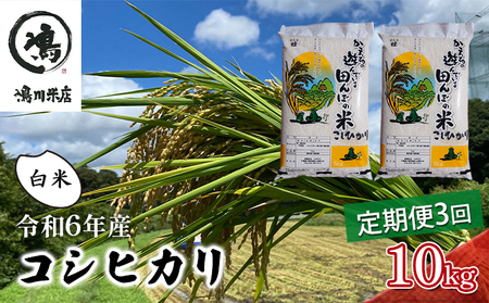 令和6年産　3ヶ月定期便　コシヒカリ　白米　10kg（5kg×2）【定期便 お米 白米 粘り甘み】