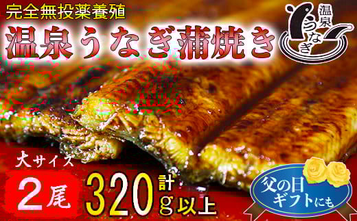 
温泉うなぎ蒲焼 2尾（160gサイズ） 国産うなぎ 人気 国産 蒲焼 蒲焼き かば焼き 鰻屋 個包装 冷凍 真空 ＜104-011_5＞
