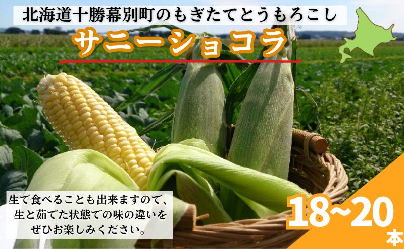 ［先行予約/2025年］もぎたてとうもろこし黄18～20本 [北海道ホープランド農場]【 とうきび トウモロコシ とうもろこし 野菜 夏野菜 フルーツ 北海道 十勝 幕別 】