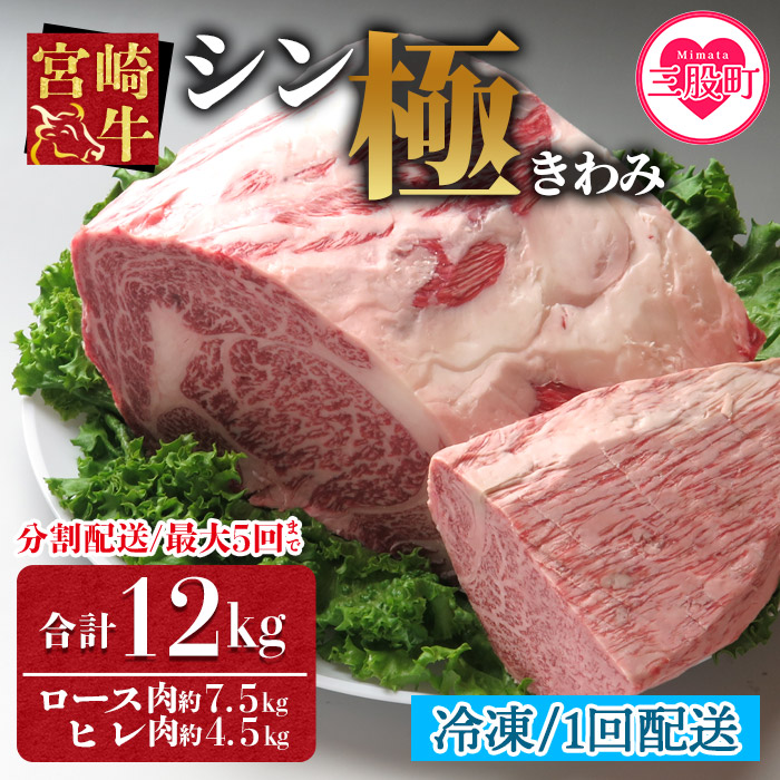 ＜宮崎牛『シン極(きわみ)』ロース肉約7.5kg、ヒレ肉約4.5kg (冷凍・１回配送)＞ 国産ブランド牛 黒毛和牛【MI019-nk-i-01】【中村食肉】