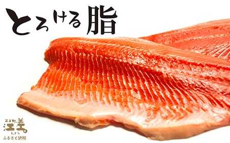 ＼配送月指定可／北海道産 サーモン お刺身用ブロック 500g（100g×5P）　日本海 かもめ島海面養殖　純国産 ブランドサーモン『江さしっ子 繁虎』　衝撃の口どけ　とろける脂　生食可　冷凍　小分け