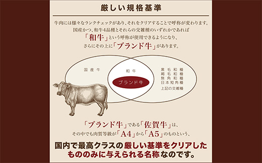 z-73 老舗の佐賀牛100%ハンバーグ