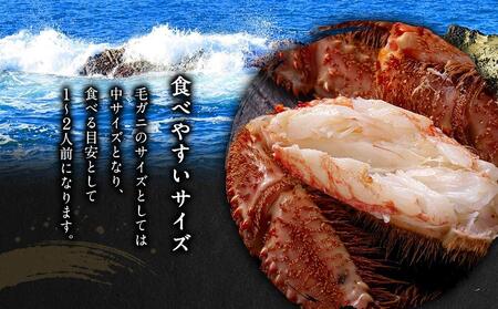 【先行予約】北海道オホーツク産　毛ガニ　1尾　500ｇ前後（2024年5月中旬発送予定）