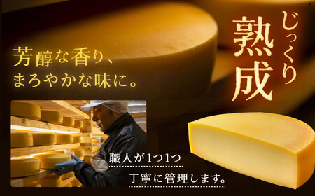 十勝ラクレットチーズ モールウォッシュ 100g×5個《足寄町》 チーズ [BEAU004]